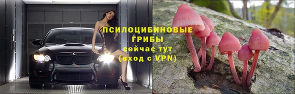твердый Нягань