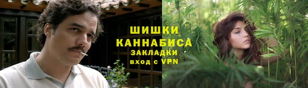 твердый Нягань