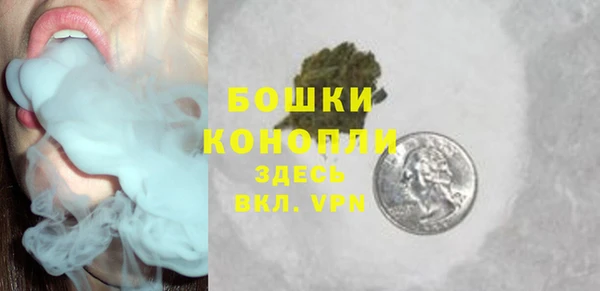 твердый Нягань