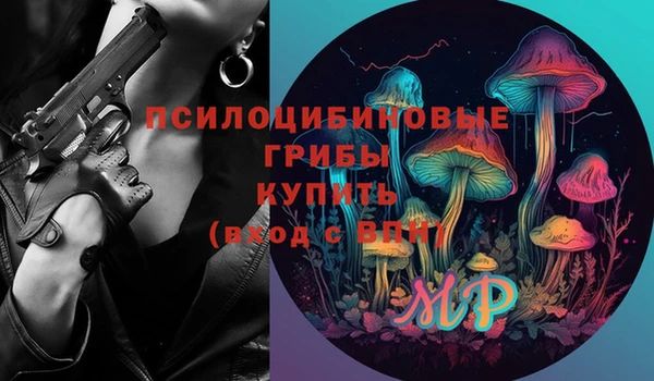 бошки Няндома