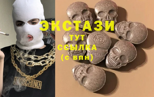 шишки Новодвинск