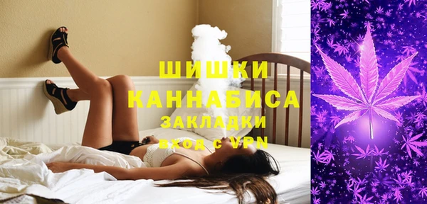 бошки Няндома
