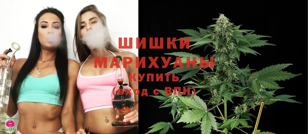 гидра Новозыбков