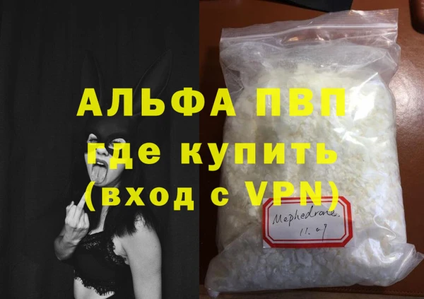шишки Новодвинск